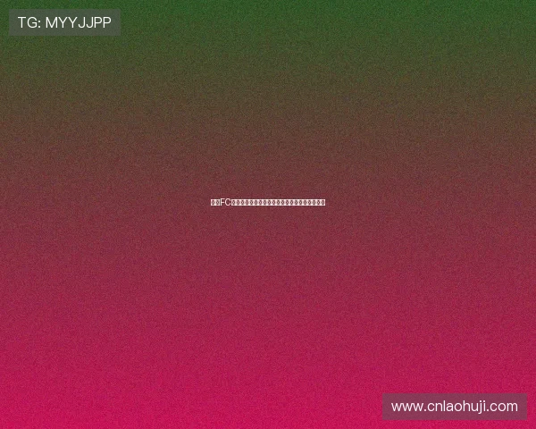 掌握FC游戏下载技巧，快速获取高质量的街机游戏资源