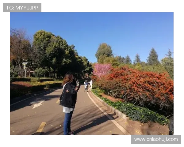 无需联网的水果机老虎机单机免费游戏让你轻松享受休闲时光