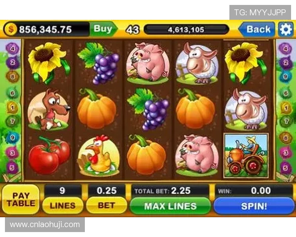 2024年最火爆的老虎机线上平台，开启你的精彩娱乐新体验