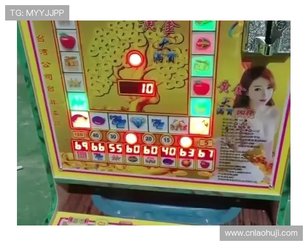 专业定制老虎机客户端软件，提升游戏运行效率与用户体验的首选方案