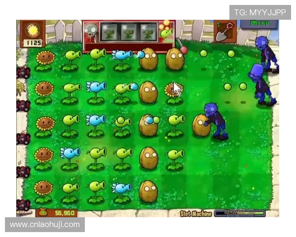 老虎机玩法介绍：掌握老虎机玩法的关键技巧与常见误区解析